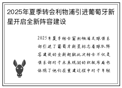 2025年夏季转会利物浦引进葡萄牙新星开启全新阵容建设